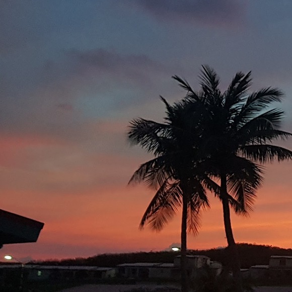 Meet your Posher, Cher - Picture 1 of 1